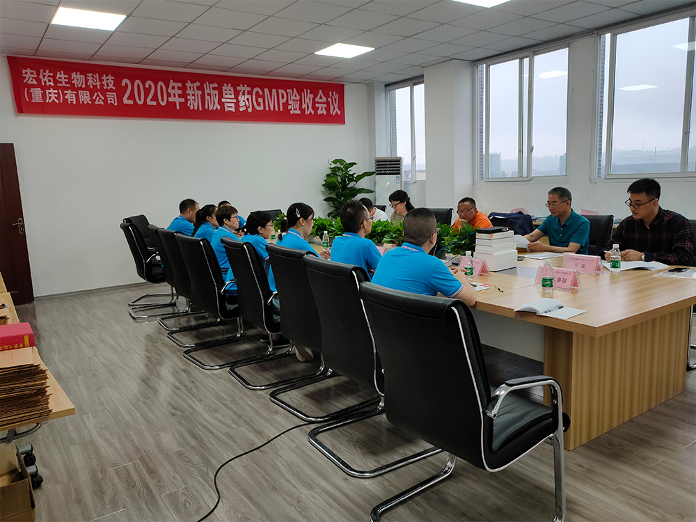 2020新版GMP验收会议